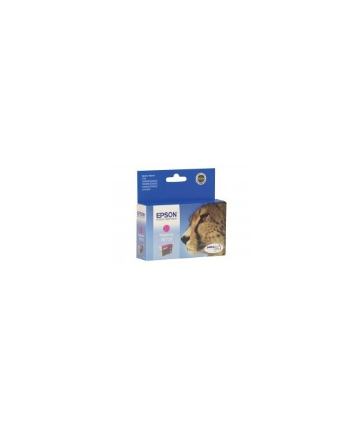 EPSON T071340 Mürekkep Kartuş EPST071340