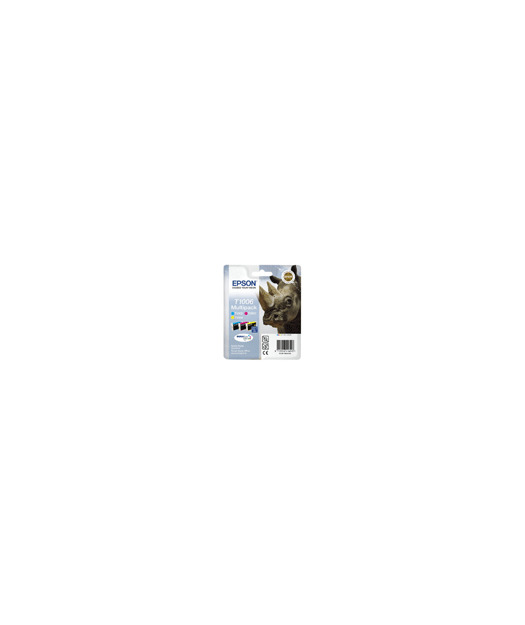 EPSON T100640 Mürekkep Kartuş EPST100640