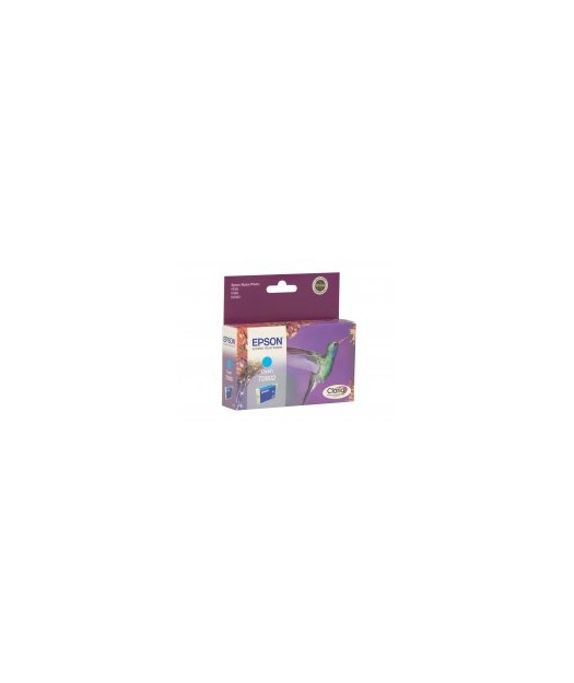 EPSON T080240 Mürekkep Kartuş EPST080240