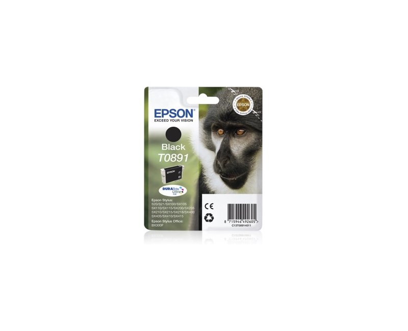 EPSON T089140 Siyah Ink Container 5,8 ml