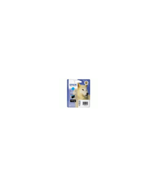 EPSON T096240 Mürekkep Kartuş EPST096240