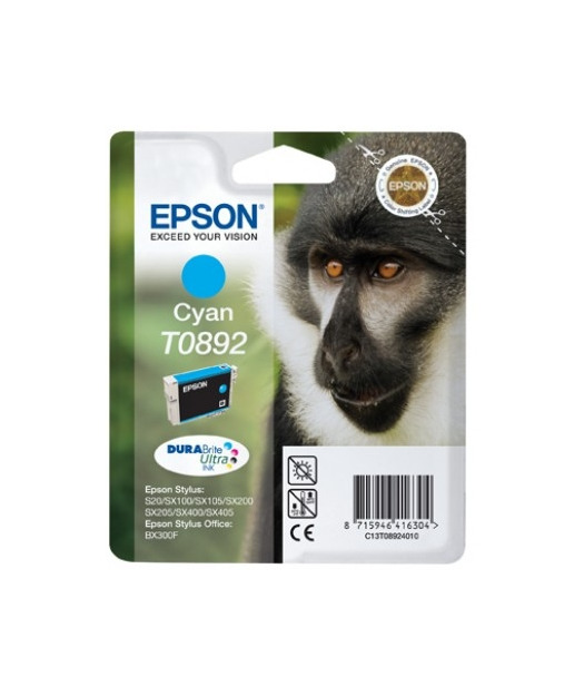 EPSON T089240 Mürekkep Kartuş EPST089240
