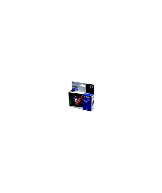 EPSON T054940 Mürekkep Kartuş EPST054940