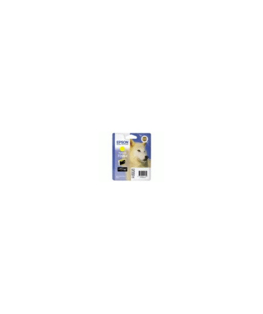 EPSON T096440 Mürekkep Kartuş EPST096440