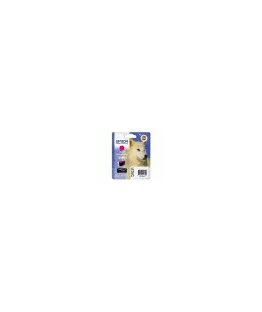 EPSON T096340 Mürekkep Kartuş EPST096340