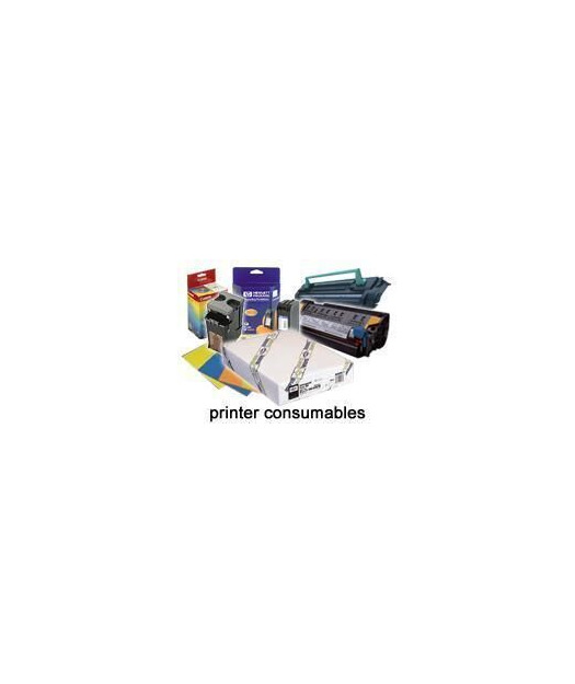 EPSON 15329 Ribbon (EPSSO15329) EPSS015329