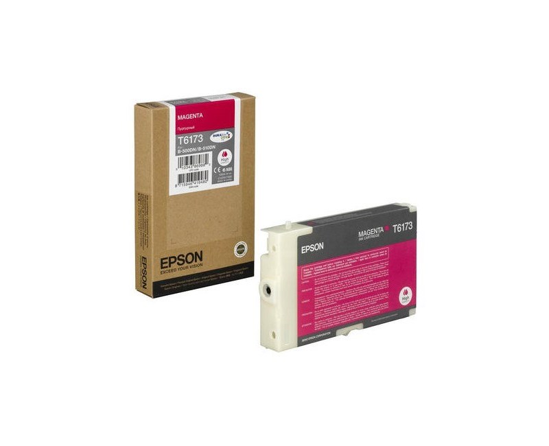 EPSON T617300 Mürekkep Kartuş